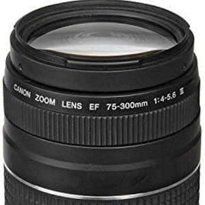 Canon EF 75-300mm f/4-5.6 III Telephoto Zoom Lens for Canon SLR Cameras (Renewed